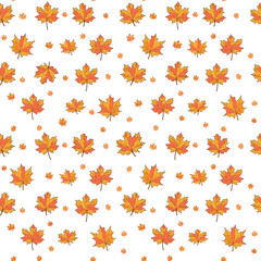Maple leaves. Seamless pattern, hand draw, vector.