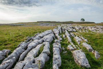 Limestone Grykes above Malham in the Yorkshire Dales National Park - 233584575