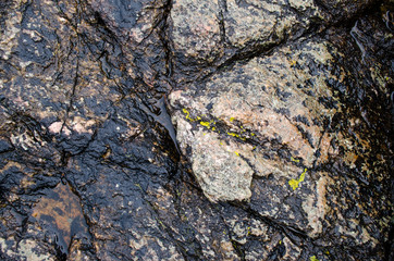 Wet Stone Texture