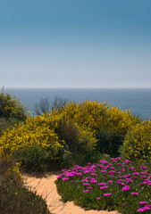 Sea View On Portuguese Algarve coast