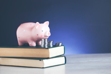 piggy bank and coins on book