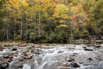 A mountain stream in western North Carolina in early fall.