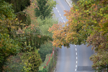 Luftaufnahme einer Strasse mit herbstlichen Bäumen