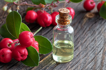 A bottle of wintergreen essential oil with fresh wintergreen twigs