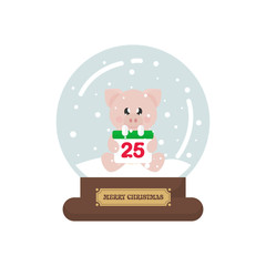 cartoon cute christmas snowglobe with winter pig with scarf sitting with christmas calendar