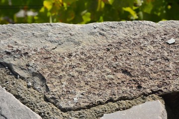 Eingebautes, fossiles Gestein als Mauerstein