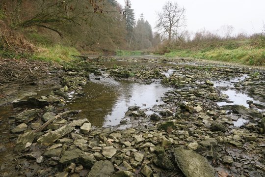 Die Donauversinkung in Immendingen. Das Flusswasser verschwindet in einem unterirdischen System und kommt am Aachtopf nahe des Bodensees raus.