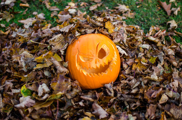 Carved Halloween Pumpkin in a Pile of Dried Autumn Leaves