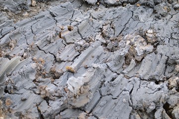 Dark gray mud dug up from the underground. On site construction Natural light