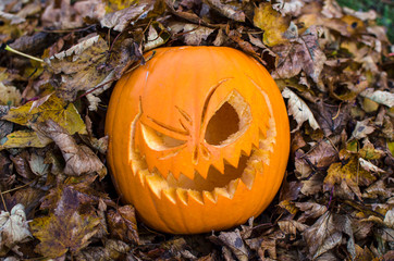 Halloween Pumpkin in a Pile of Dried Leaves