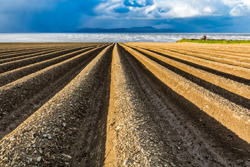 Photo taken in Co Louth. Ireland.