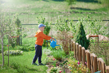 Boy with blue watering can in his hands helping to water the flowers in a countryside croft. © Artem