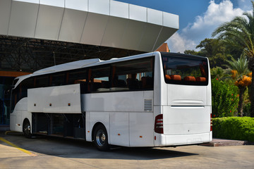 white tourist coach with open trunk of doors on modern bus station in tropics