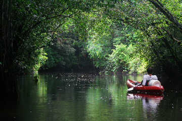 Mystical and beautiful jungle river / stream through green rainforest canopy with a person in red...