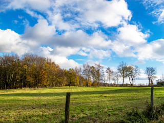 Fototapeta na wymiar Agricultural landscape on a sunny November day in Wallerode, Belgium