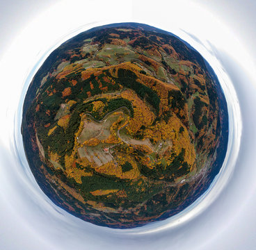 Black Forest MiniPlanet