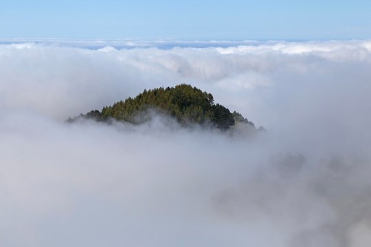View from the Mirador Pinos de Galdar, green wooded hill looks out of the trade wind cloud, Gran Canaria, Canary Islands, Spain, Europe