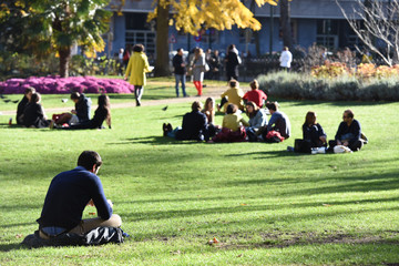 parc pause alimentation diner sandwich soleil gazon vert ville