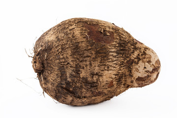 Yam (Dioscorea spp.) isolated in white background