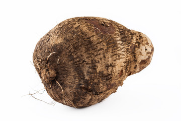 Yam (Dioscorea spp.) isolated in white background