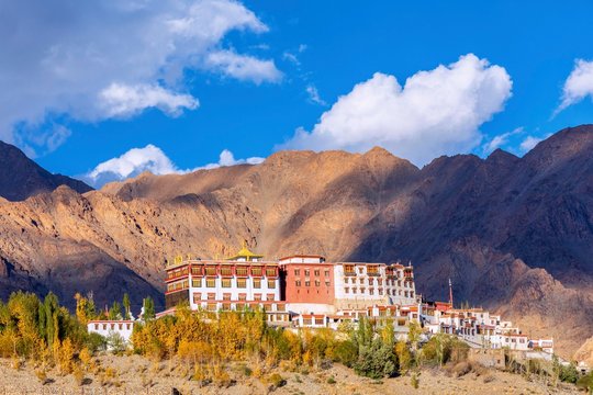 Phyang Monastery, Phyang (or Phiyang) Gompa, Ladakh, India, Asia