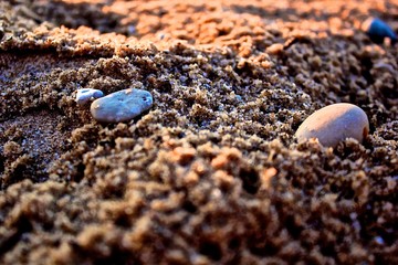 pebbles on the beach