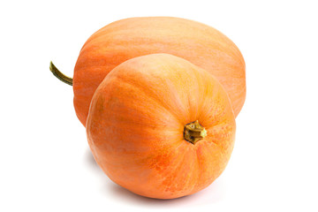 Pumpkin vegetable closeup