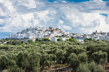 Obraz premium Blick auf Ostuni – Apulien; Italien