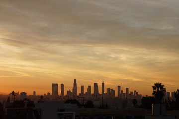 Fototapeta na wymiar Downtown Los Angeles Skyline