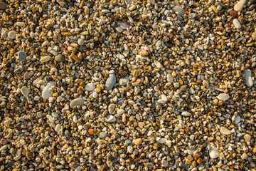 colorful yellow small stones background texture from sea shore waterfront district 
