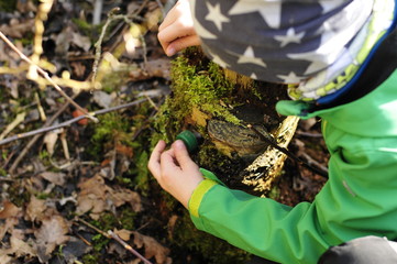 geocaching boy finds a geocache hidden in the forest