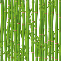 Hand drawn bright green bamboo forest seamless pattern 