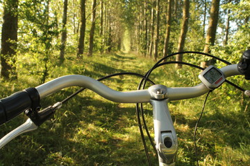 Fototapeta na wymiar a touring bike handlebar close-up in at a path in a fresh green forest in springtime