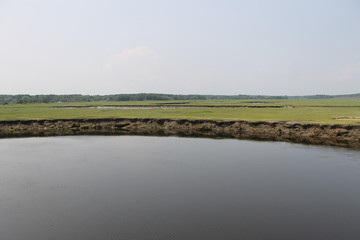 Marsh