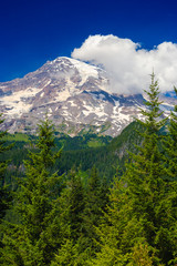 Obraz premium Patrząc na Mt. Deszcz w oddali w Mt. Rainier National Park.
