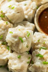 Homemade Pork Shu Mai Dumplings