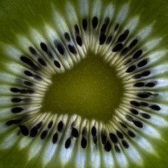 Makroaufnahme einer Scheibe Kiwi