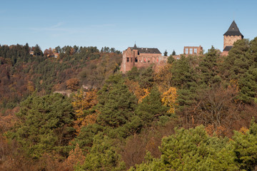 Fototapeta na wymiar Burg Nideggen in der Eifel