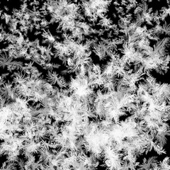 Abstract ice and freeze effect on black background. Frozen window glass. 