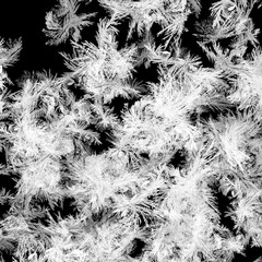 Abstract ice and freeze effect on black background. Frozen window glass. 
