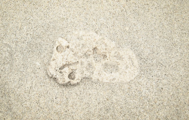 Fototapeta na wymiar Shell fragments in sand