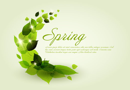 Web Banner Layout with Leaf Illustrations
