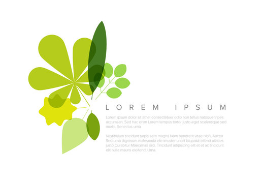 Web Banner Layout with Leaf Illustrations