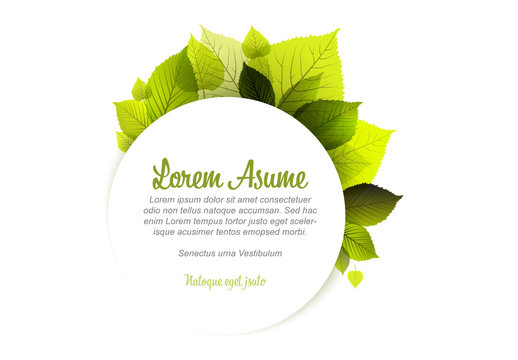 Web Banner Layout with Leaf Illustrations