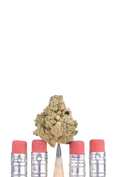 Cannabis bud on the point of a sharp school pencil, isolated on white