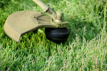 Mowing green grass using a fishing line trimmer. Application trimmers.