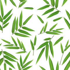 Bright green bamboo leaves seamless hand drawn pattern on white background, scrapbooking backdrop