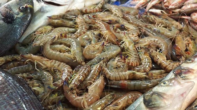 Shrimps on the counter of the fish market