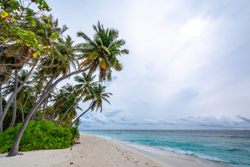 Stunning tropical beach with white sand in the Maldives. a great place to dive into meditation and Nirvana
