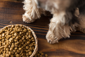 Bowl of dry kibble dog food and dog's paws over grunge wooden floor